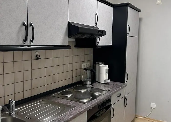 Stadt-appartment Drachenstich Wlan 公寓 *